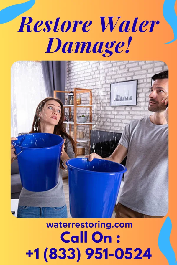 water restoration Empire Extraction Solutions Springport