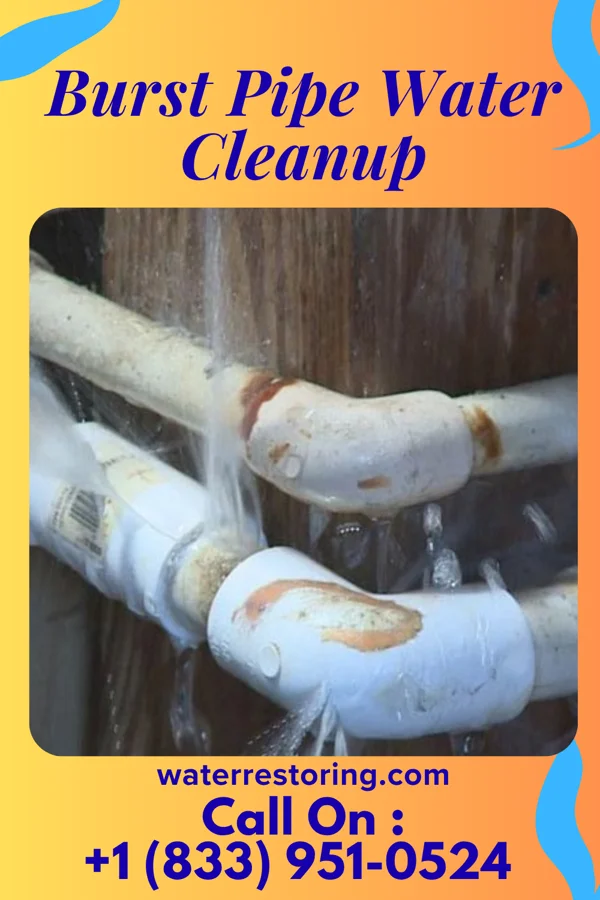 Burst Pipe Water Cleanup in Springport, MI