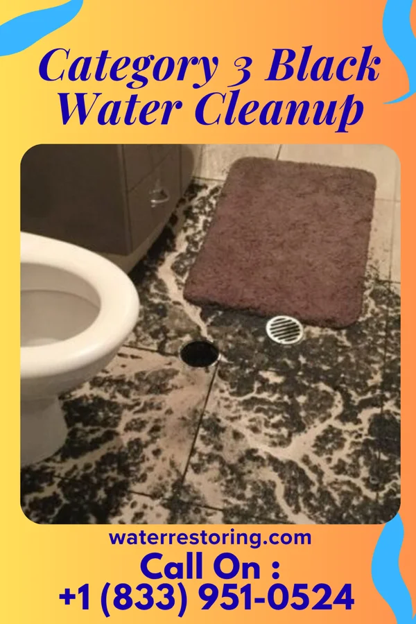 Category 3 Black Water Cleanup in Springport, MI