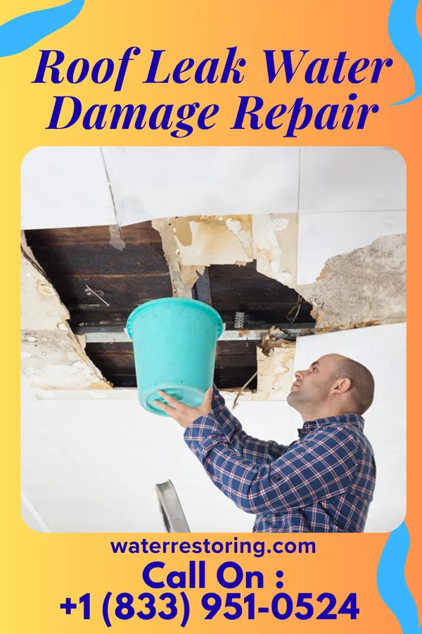 Roof Leak Water Damage Repair in Springport, MI