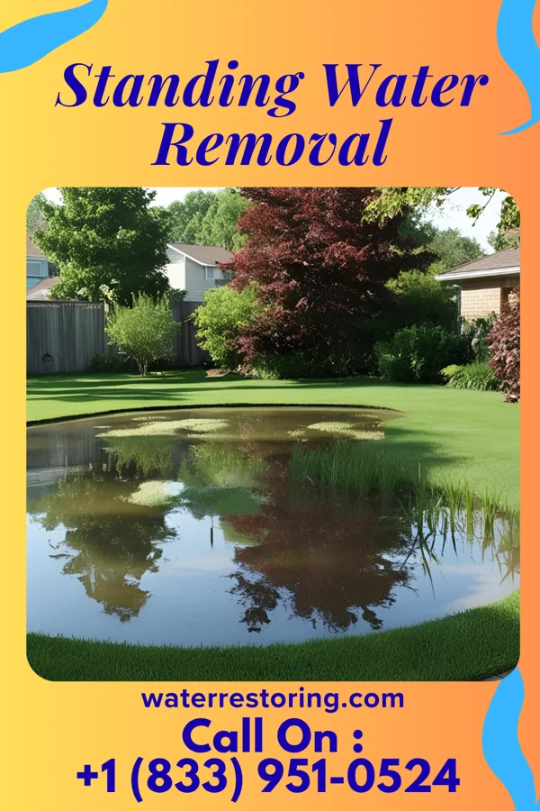 Standing Water Removal in Springport, MI